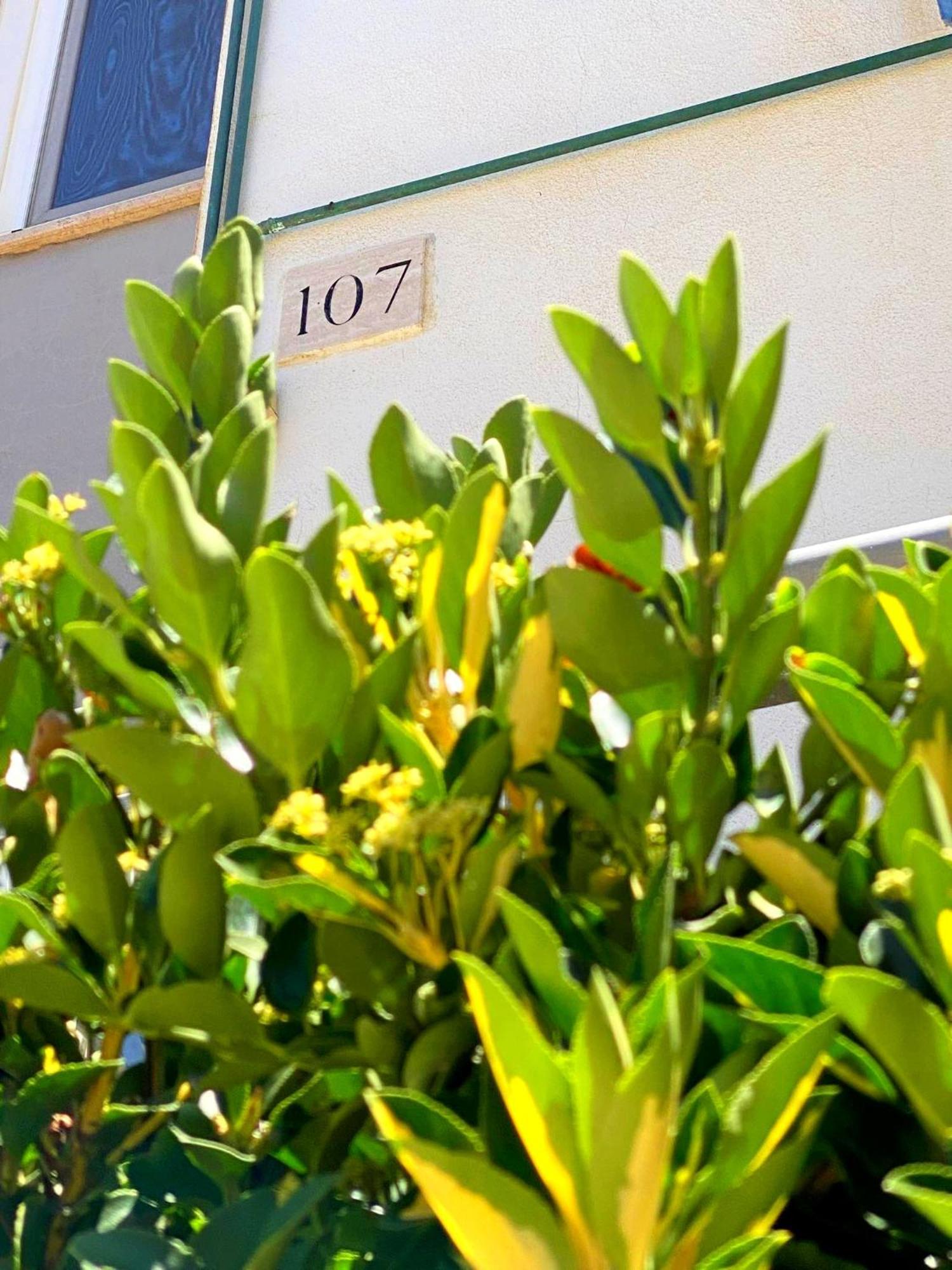 Apartment 107 - Roma Fiumicino Luaran gambar